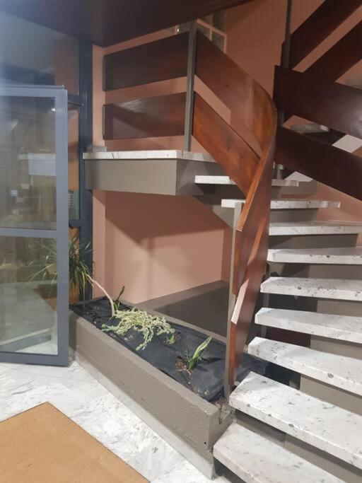 Magnifique T2 Au Centre Ville Cluses Luaran gambar